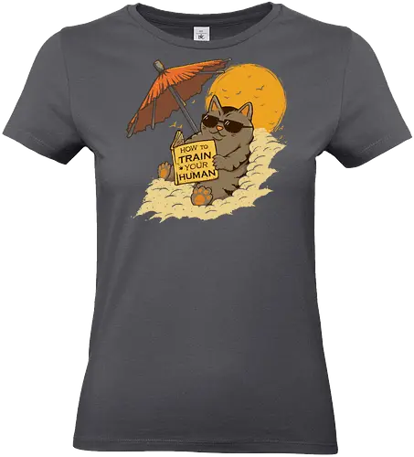 How to Train your Human - cat, summer, CatLogic, neko - Standard T-Shirt (Women)