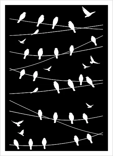 Vögel Linien Minimalistisch - Blau