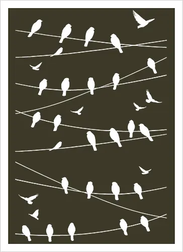 Vögel Linien Minimalistisch - Blau