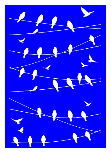 Vögel Linien Minimalistisch - Blau