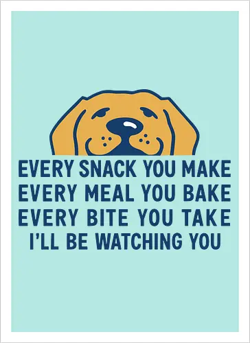 Every Snack You Make