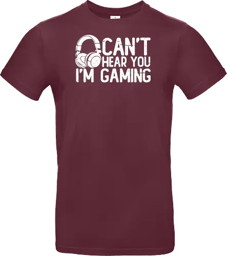 Can't Hear You I'm Gaming