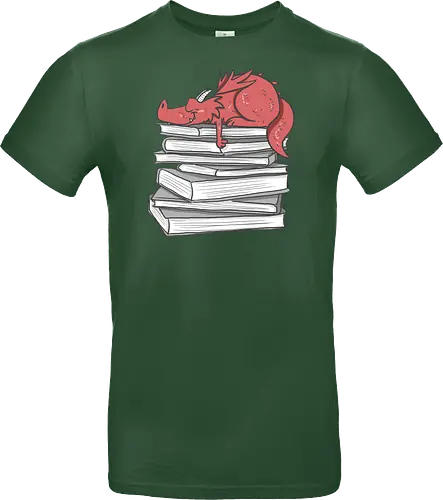 Buchdrache