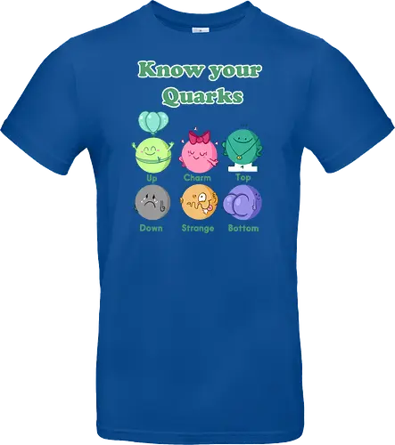Knwo your Quarks