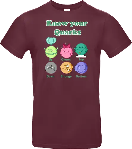 Knwo your Quarks