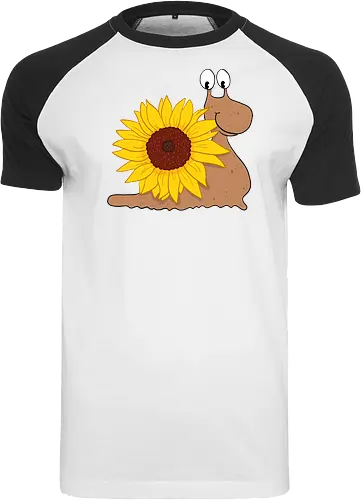 Sonnenblumenschnecke