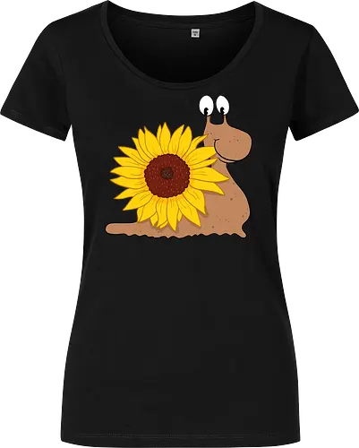Sonnenblumenschnecke