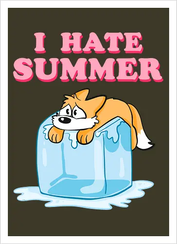 I hate Summer