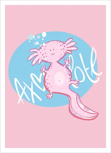 Axolotl