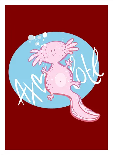 Axolotl