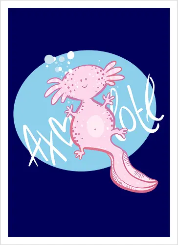 Axolotl