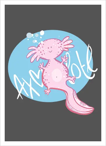 Axolotl