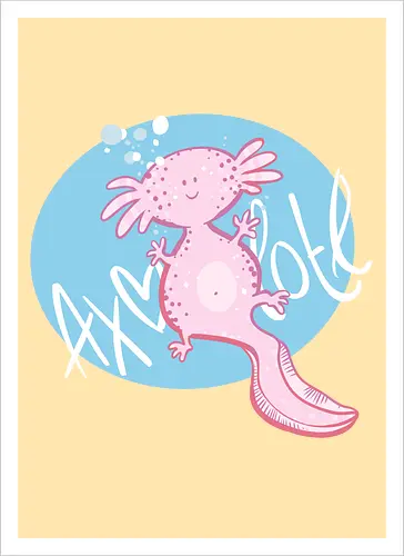 Axolotl