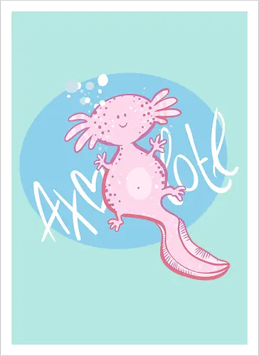 Axolotl