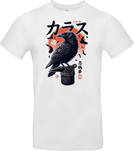 Dark Ninja Raven