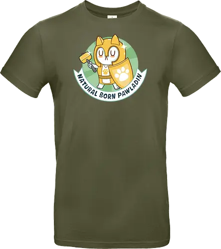 RPG Cats - Natural Born Pawladin