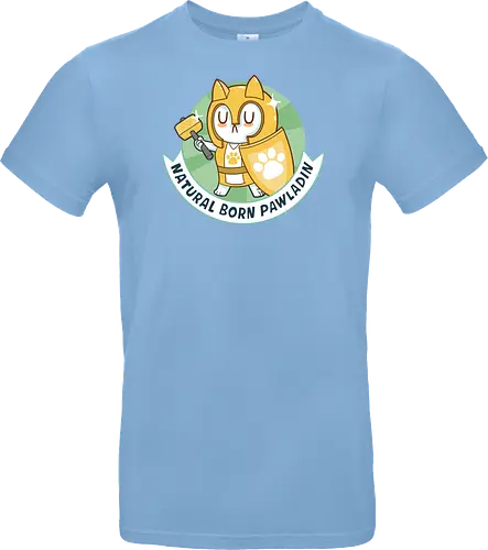 RPG Cats - Natural Born Pawladin