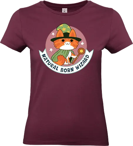 RPG Cats - Natural Born Wizard - RPGArt, FantasyIllustration, DungeonCrawl, CuteFantasy, rpg, Pen and Paper, Katzen, fantasy katzen, Pen and paper, RPG, gaming, fantasy, D20, 20 sided dice, character classes, rollenspiel, rpg, rpg katzen - Standard T-Shirt (Women)