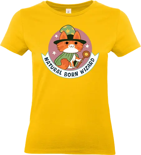 RPG Cats - Natural Born Wizard - RPGArt, FantasyIllustration, DungeonCrawl, CuteFantasy, rpg, Pen and Paper, Katzen, fantasy katzen, Pen and paper, RPG, gaming, fantasy, D20, 20 sided dice, character classes, rollenspiel, rpg, rpg katzen - Standard T-Shirt (Women)