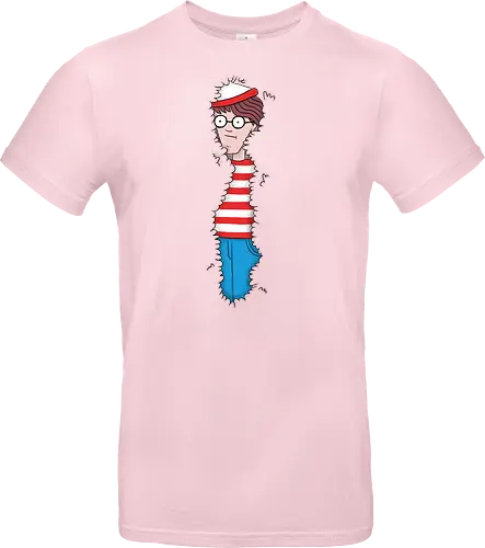 Wally Hidden