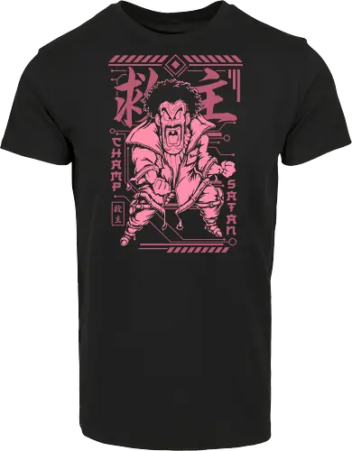 Mr Satan Champ