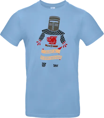 Just a Flesh Wound Black Knight