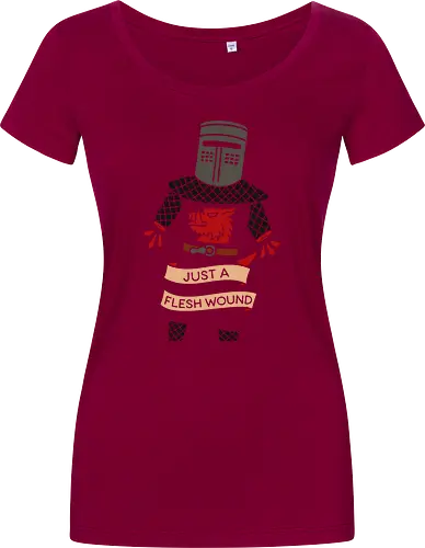Just a Flesh Wound Black Knight
