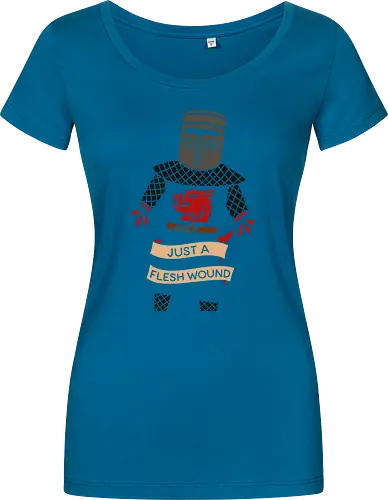 Just a Flesh Wound Black Knight