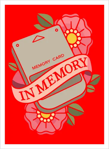 In Memory of the Memory Card