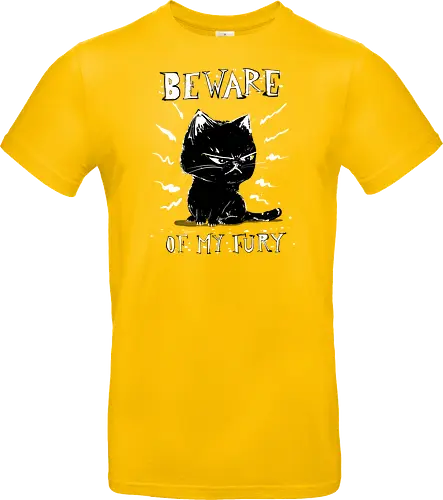 Beware of my fury