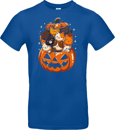 Pumpkin Cute Cats