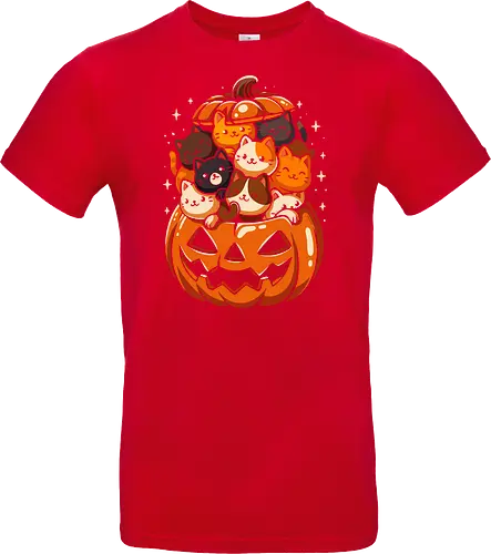 Pumpkin Cute Cats