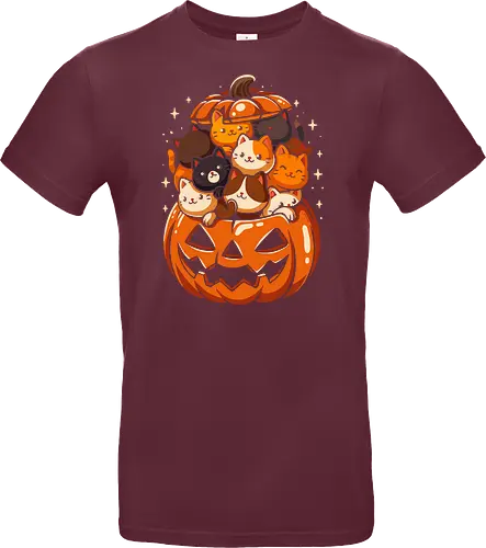 Pumpkin Cute Cats