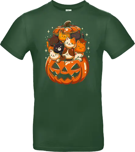 Pumpkin Cute Cats