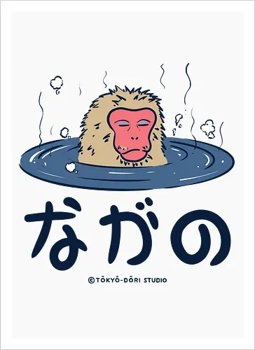 Nagano Relax Monkey