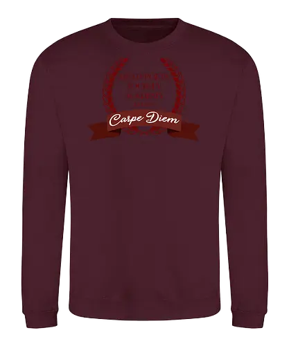 D.P.S. Academy Moviet Art - cinema, movie art, poetry, poet, literature, vintage, parody, mashup, funny quote, funny slogan, geek, nerd, vintage art, humor, joke, sarcasm, nostalgia, meme, retro, lol - Sweatshirt