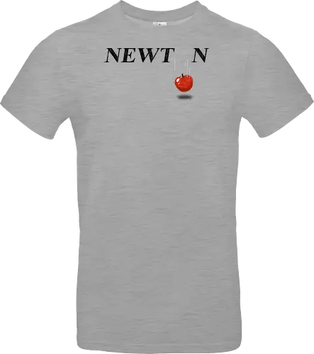 Newton