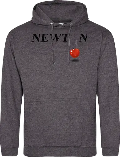 Newton