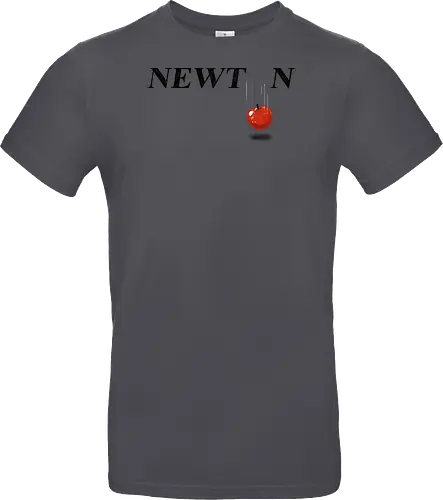 Newton