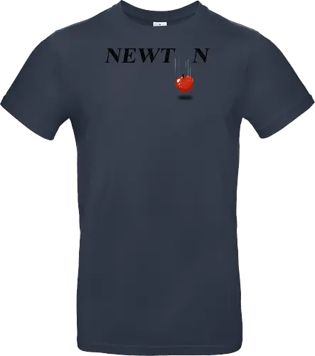 Newton