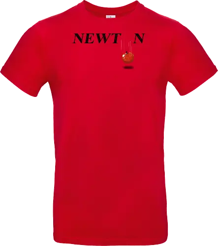 Newton