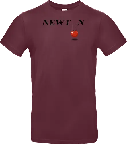 Newton