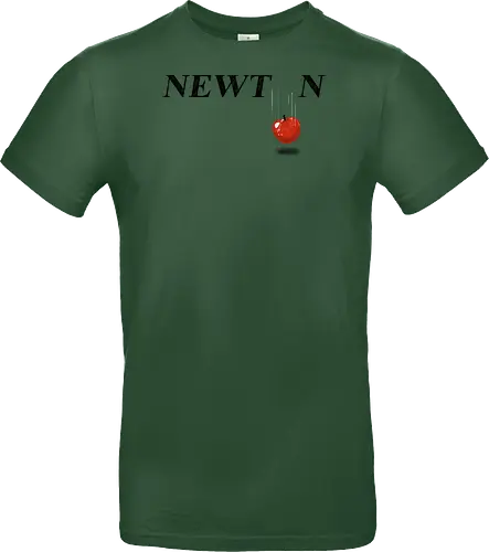 Newton