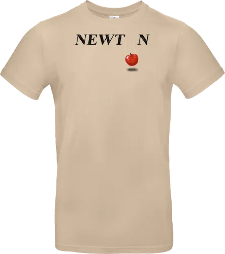 Newton