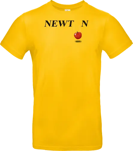 Newton