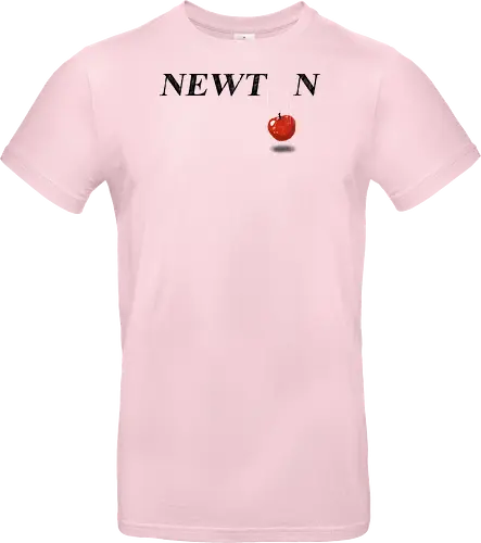 Newton