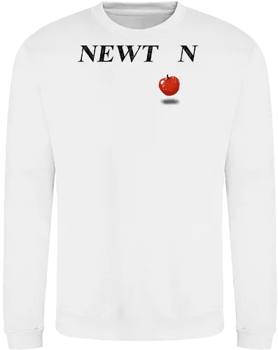 Newton