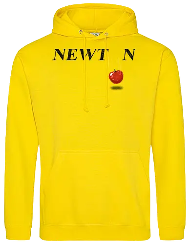 Newton