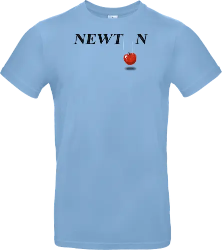 Newton
