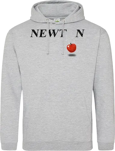 Newton